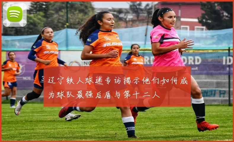 辽宁铁人球迷专访揭示他们如何成为球队最强后盾与第十二人